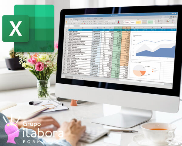 Creación de Informes en Microsoft Excel