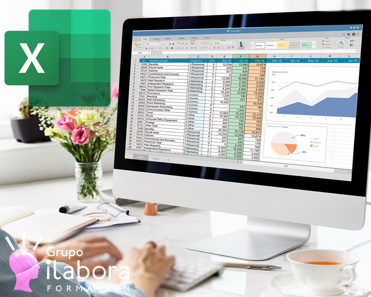 Creación de Informes en Microsoft Excel