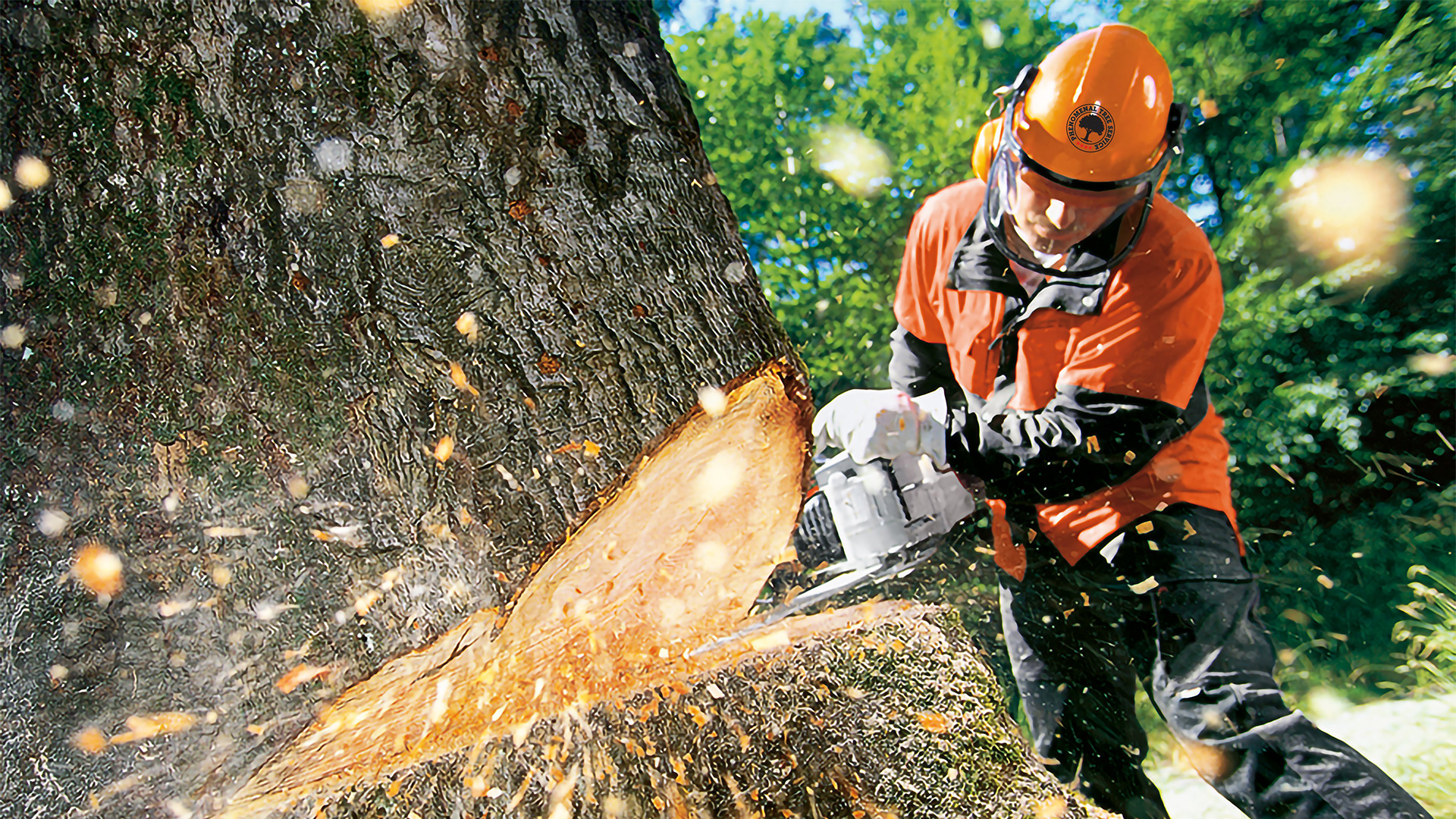 Prevención de Riesgos Laborales para el Sector Forestal