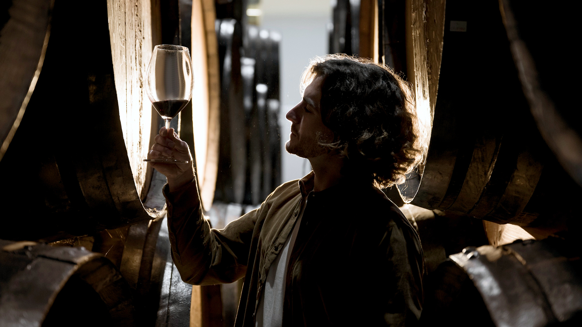 cata de vinos