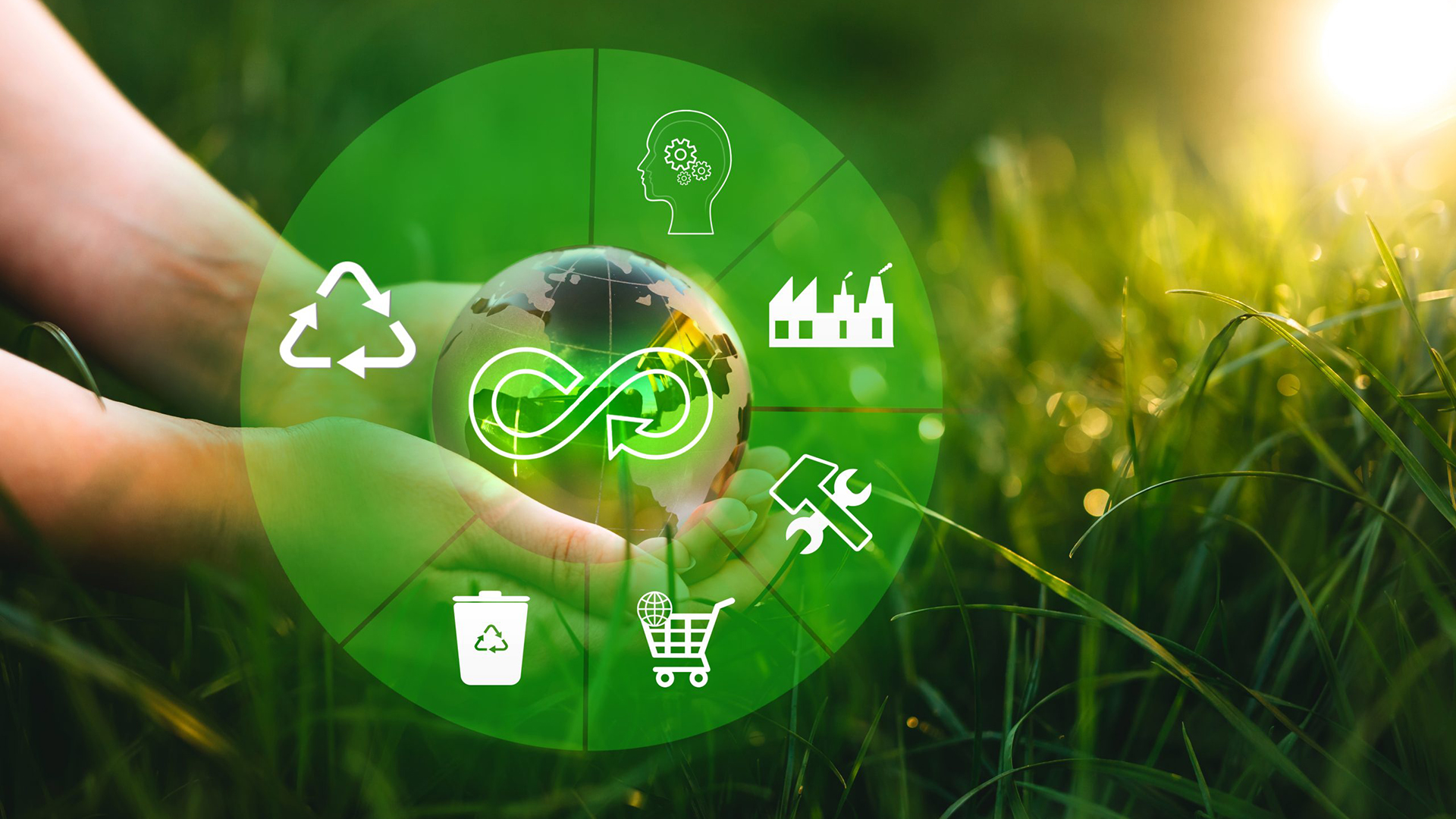 Guia Practica para Implementar la Economia Circular en las PYMES
