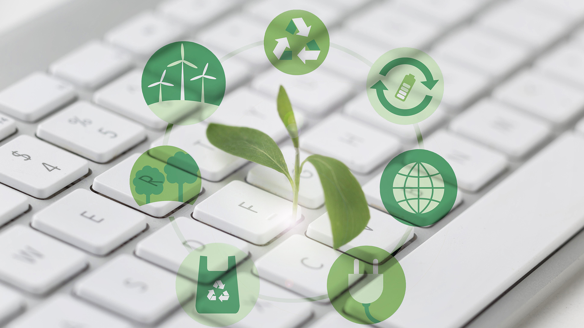 Responsable de Sistemas de Gestion Ambiental ISO 14001