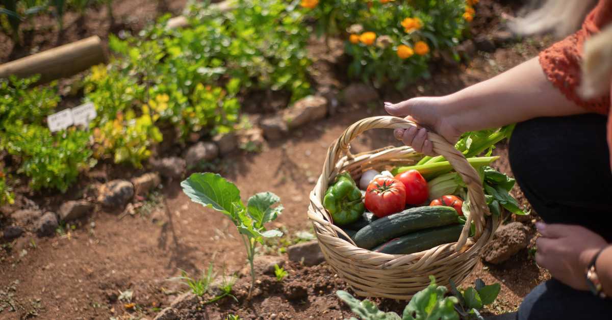 Trucos de Jardinería.conócelos y hazte un experto Ilabora