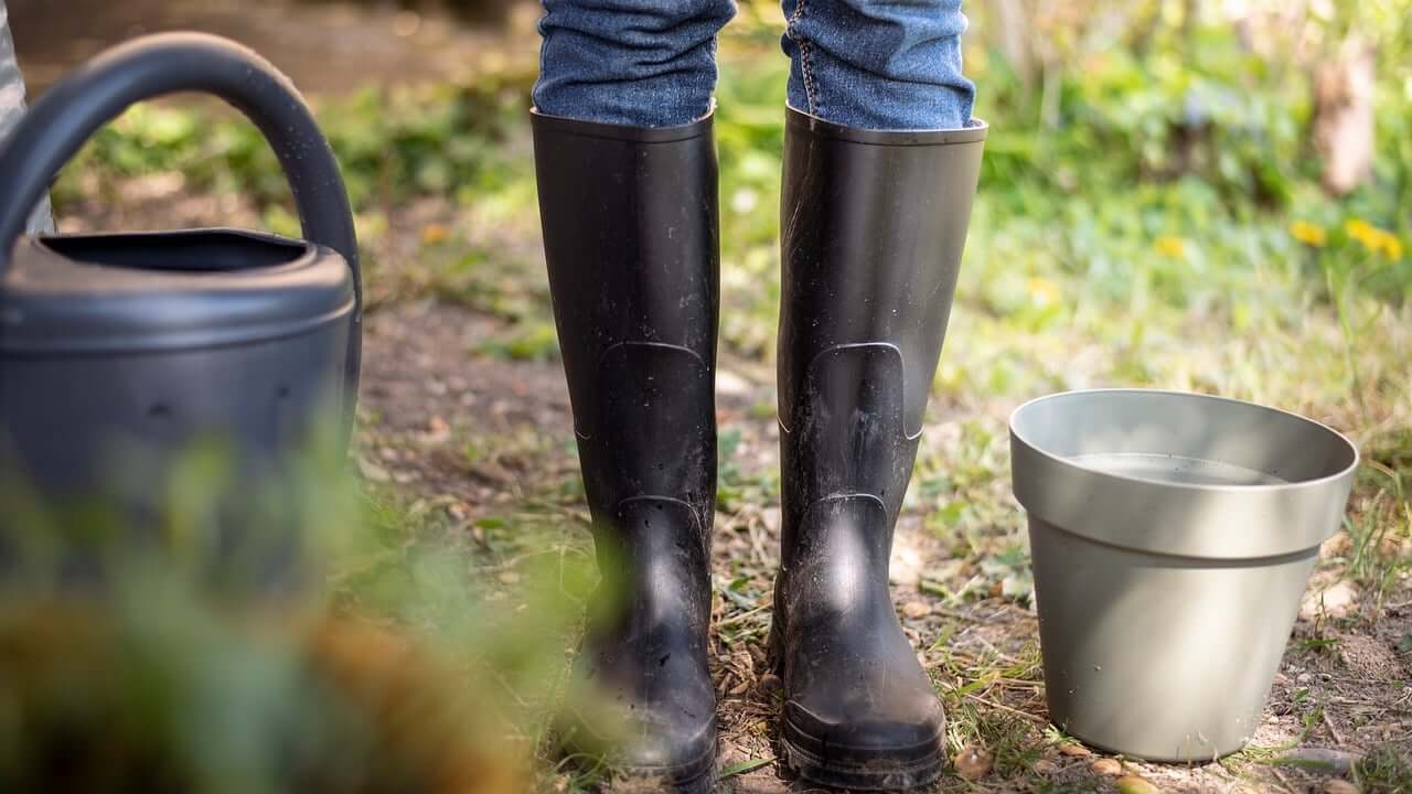 Zapatos para jardín